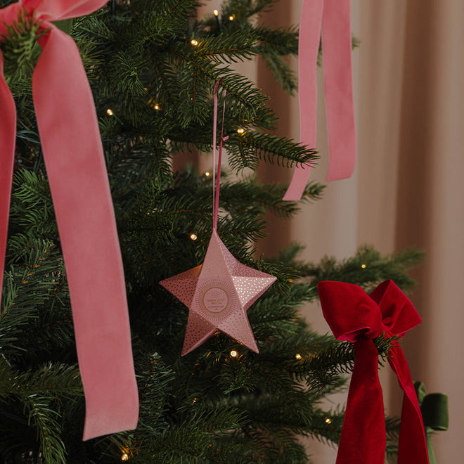 Passion Berry Pavlova Shower Steamer