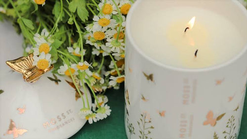 Wildwood & Honey Ceramic Candle