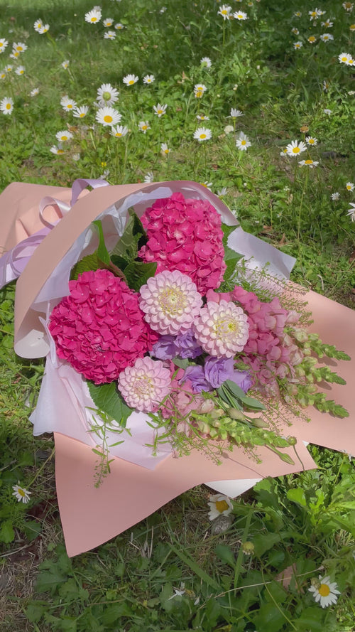 Soft Harvest